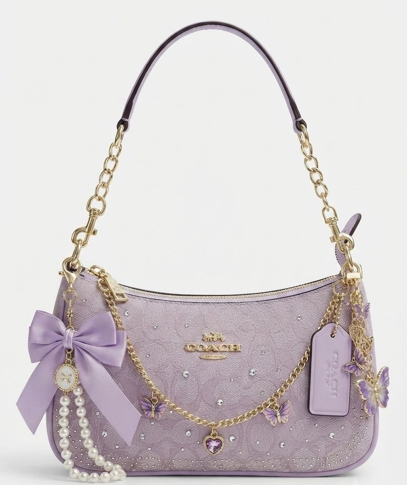 Sacs coachs Tout Strass